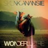 Skunk Anansie - Wonderlustre