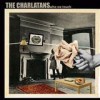 The Charlatans - Who We Touch: Album-Cover