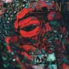 Warpaint - The Fool: Album-Cover