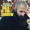 William Fitzsimmons - Gold In The Shadow: Album-Cover