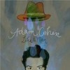 Adam Cohen - Like A Man: Album-Cover