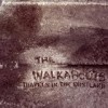 The Walkabouts - Travels In The Dustland
