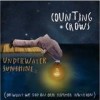Counting Crows - Underwater Sunshine: Album-Cover