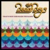 The Beach Boys - That's Why God Made The Radio: Album-Cover