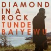 Tunde Baiyewu - Diamond In A Rock