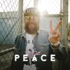 Mc Fitti - Peace: Album-Cover