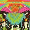 The Flaming Lips - With A Little Help From My Fwends: Album-Cover