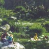 Sam Amidon - Lily-O: Album-Cover
