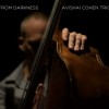 Avishai Cohen Trio - From Darkness: Album-Cover
