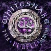 Whitesnake - The Purple Album: Album-Cover