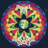 Polyversal Souls - Invisible Joy: Album-Cover
