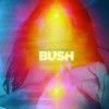 Bush - Black And White Rainbows: Album-Cover
