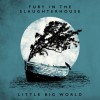 Fury In The Slaughterhouse - Little Big World – Live & Acoustic: Album-Cover