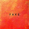 Die Nerven - Fake: Album-Cover