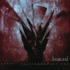 Lunatic Soul - Under The Fragmented Sky: Album-Cover