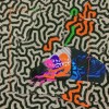 Animal Collective - Tangerine Reef: Album-Cover