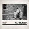 Alphonzo & Figub Brazlevic - Analog Slang: Album-Cover