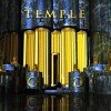Gaddafi Gals - Temple: Album-Cover