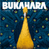 Bukahara - Canaries in a Coal Mine: Album-Cover
