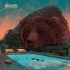 Villagers - Fever Dreams: Album-Cover