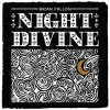 Brian Fallon - Night Divine: Album-Cover