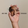 Adel Tawil - Spiegelbild: Album-Cover