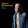 Albert Hammond - Body Of Work: Album-Cover