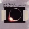 Ian Brown - Remixes Of The Spheres