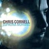 Chris Cornell - Euphoria Morning: Album-Cover