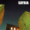 Saybia - The Second You Sleep: Album-Cover