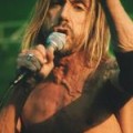 Iggy Pop - Zu laut für die Schweiz