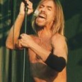 Iggy Pop - Ein Hobbit wird Rockstar