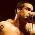 Henry Rollins - Sänger unter Terror-Verdacht