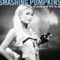 Pumpkins - Special Edition-Flut mit Paris Hilton