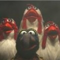 Queen - Muppets kapern "Bohemian Rhapsody"