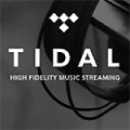 Schuh-Plattler - Arcade Fire dissen Tidal-Launch