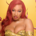 Megan Thee Stallion - Rapperin angeschossen und verwundet