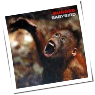 Babybird