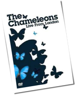 The Chameleons