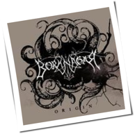 Borknagar