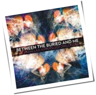 Between The Buried And Me