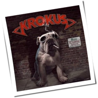 Krokus