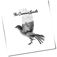 The Common Linnets