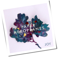 Paper Aeroplanes