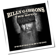 Billy Gibbons